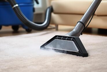 carpet-in-living-room-